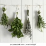 2025271期开奖结果震撼揭晓,大奖花落谁家引关注 179t3k