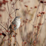 4813开奖结果最新公布,速来查看幸运号码! 1v966g