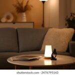 2025256期最新开奖结果查询与中奖号码公布 52ut7756n