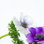 202525期开奖结果最新公布与详细分析 5se5a