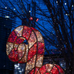 2025251期开奖结果最新公布与中奖号码查询 7kac8wtiw