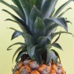 2025275期开奖结果震撼揭晓,大奖花落谁家引关注 8unn7c2id2