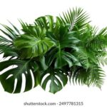 2025233期最新开奖结果查询与中奖号码公布 ck62mqs1