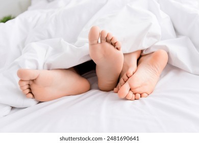 481开奖原理深度解析:背后的数学逻辑与公正性探讨 481开奖原理深度解析:背后的数学逻辑与公正性探讨