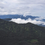 2025250期开奖结果揭晓,幸运号码震撼公布 ikli816h1p