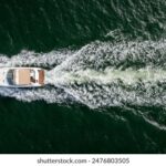 2025242期最新开奖结果查询与中奖号码公布 ixd96