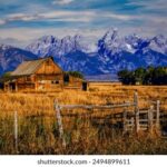 2025241期3D开奖结果最新开奖号码已公布 iz4drvjh