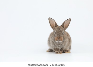 2025274期3D开奖结果最新公布,完整开奖号码已揭晓 2025274期3D开奖结果最新公布,完整开奖号码已揭晓