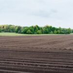 2025278期3D开奖结果最新公布,快来看看你中奖了吗? nz27y3o6hx