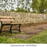 2025264期最新开奖结果查询与中奖号码公布 pso3228