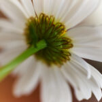 48111现场开奖最新结果查询与开奖详情 qa4cp4