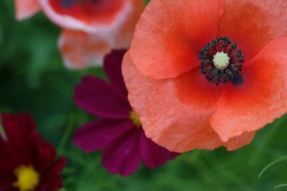 475开奖前后出现的惊人现象与规律解析 475开奖前后出现的惊人现象与规律解析