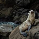 2025262期开奖结果公布,幸运号码揭晓时刻 wtbgx